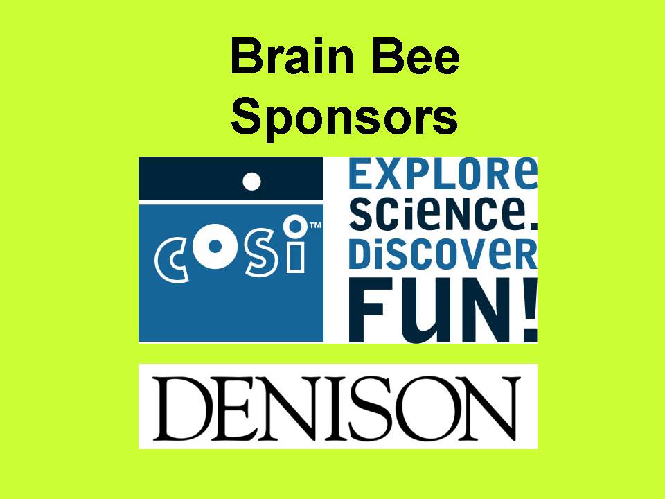 brainbee2008pic14
