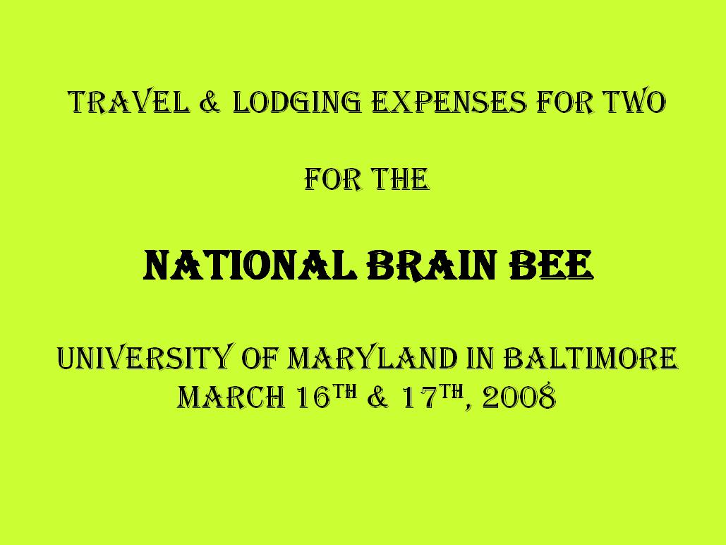 brainbee2008pic15